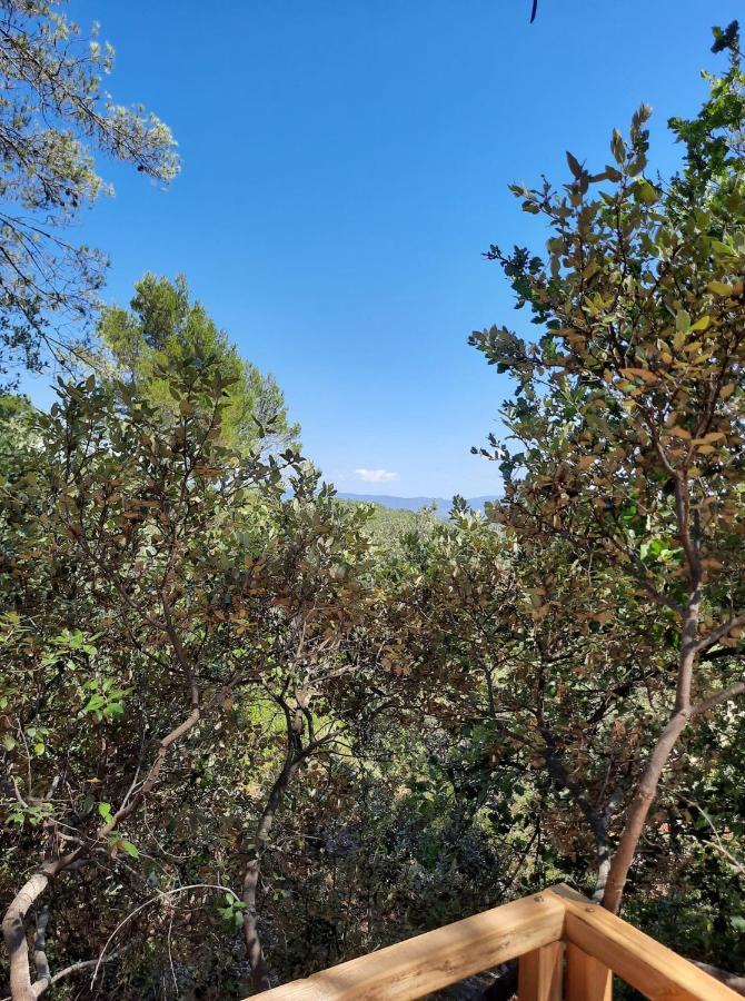 Cabane dans les arbres La Kaz aux Cigales Cuers Extérieur photo