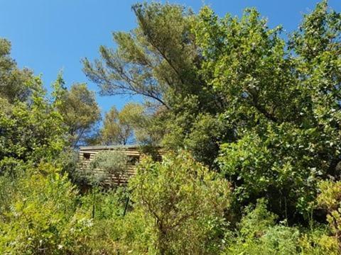 Cabane dans les arbres La Kaz aux Cigales Cuers Extérieur photo