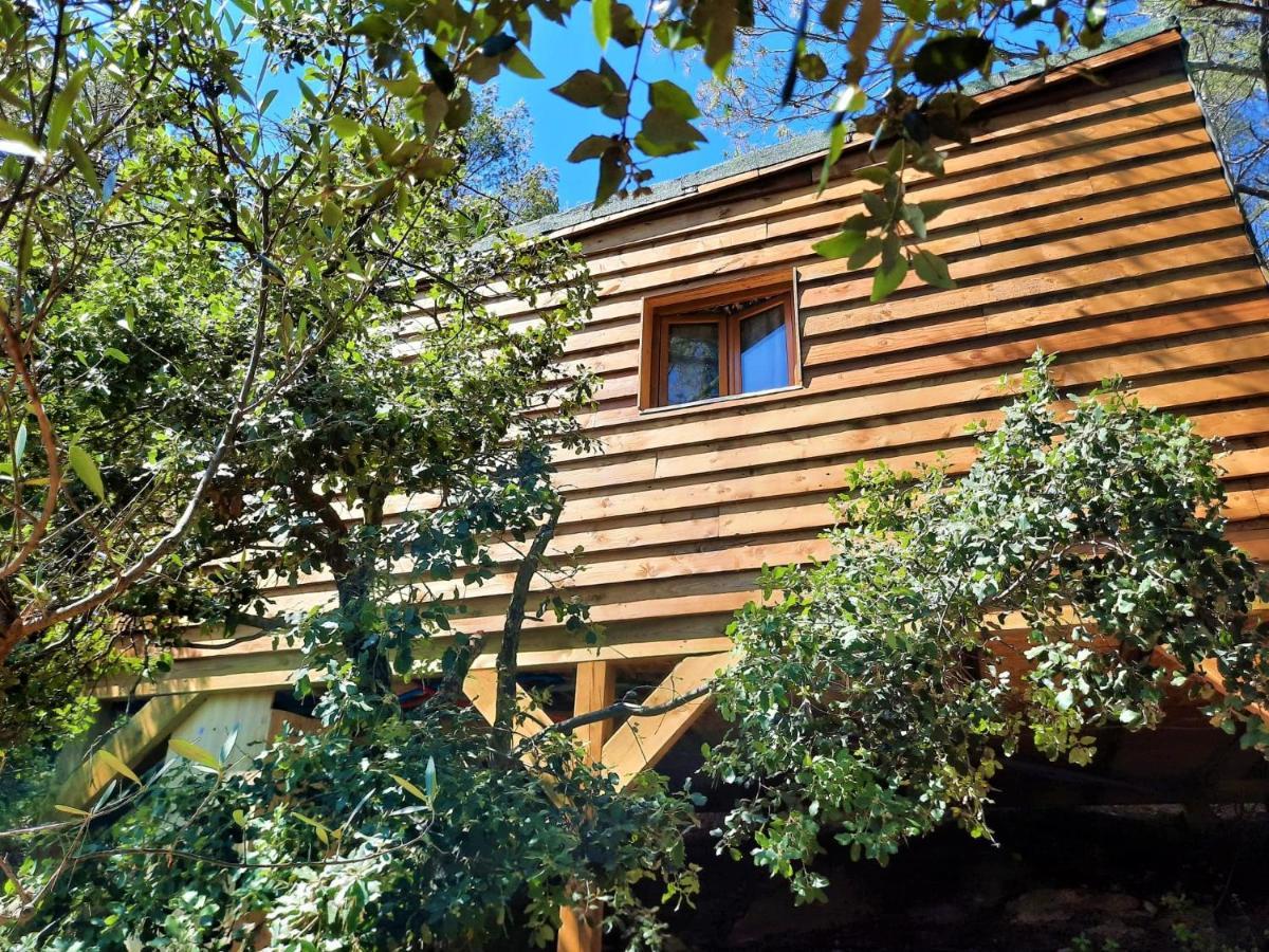 Cabane dans les arbres La Kaz aux Cigales Cuers Extérieur photo